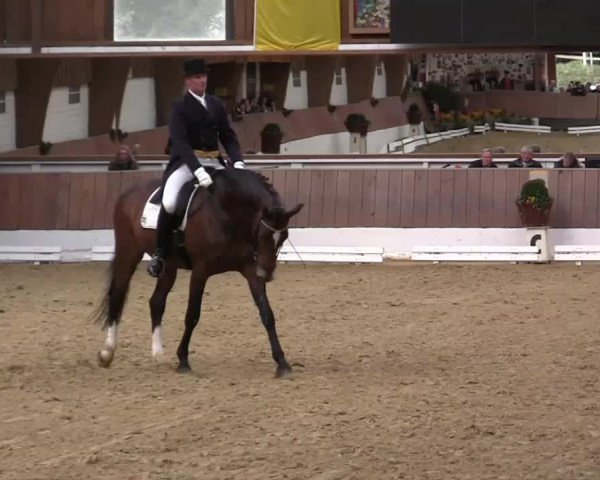 Krefeld - Reitanlage Kühnen, Junge-Pferde-Turnier 2014