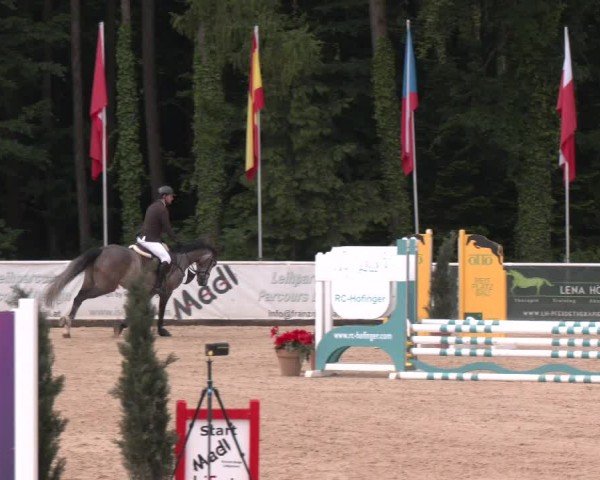 Reitturnier Ranshofen - Braunau am Inn 2025