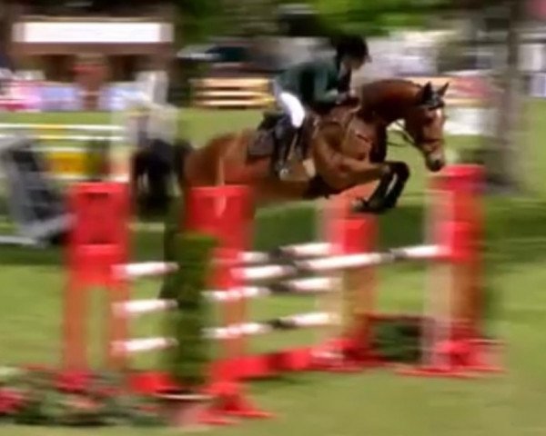 jumper Cayejou (Westphalian, 2013, from Cayetano L)