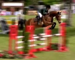 jumper Cayejou (Westphalian, 2013, from Cayetano L)