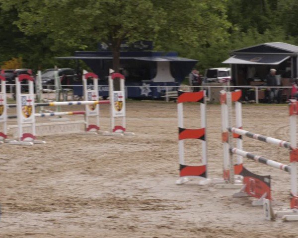 Reitturnier Heiligenwald 2025