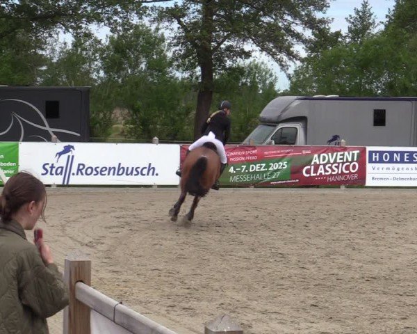 Reitturnier Bremen - Reitanlage Forkert 2025