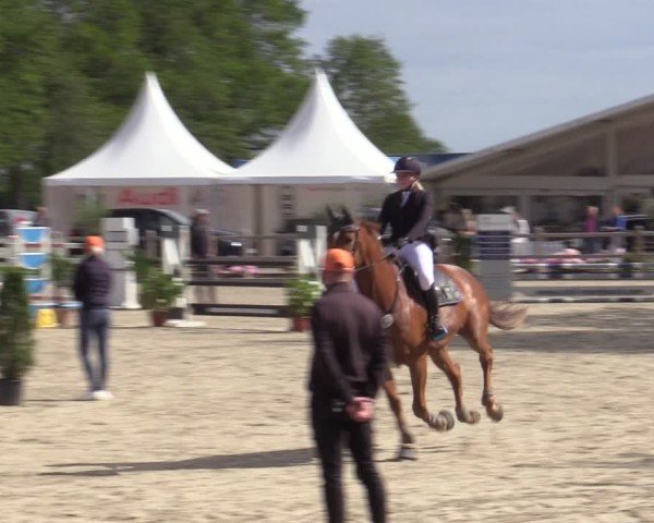Reitturnier Bremen - Reitanlage Forkert 2025