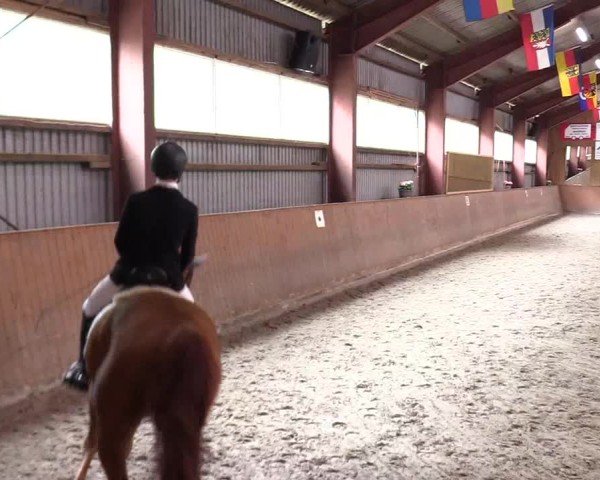 Reitturnier Risum-Lindholm 2025