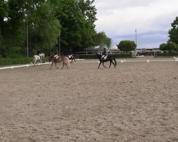 Reitturnier Müncheberg 2025