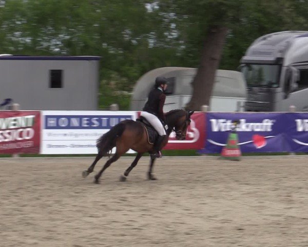 Reitturnier Bremen - Reitanlage Forkert 2025