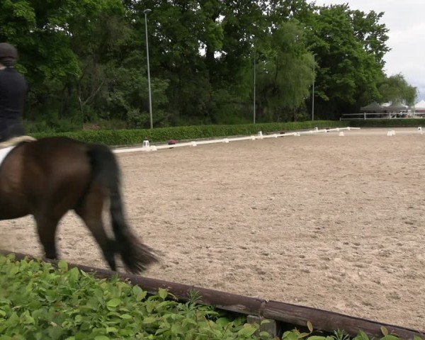 Reitturnier Müncheberg 2025