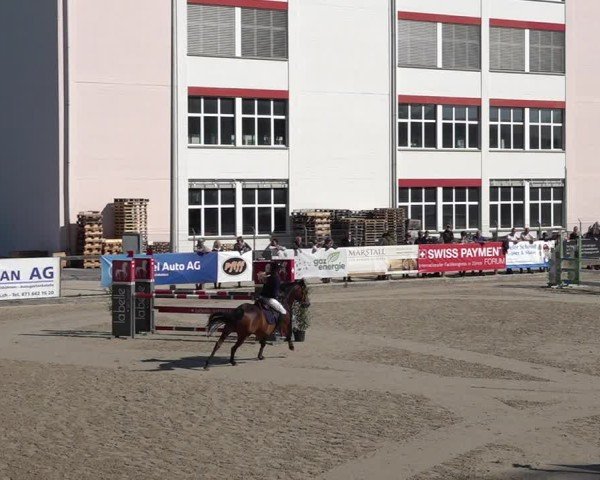Reitturnier Sulgen 2025