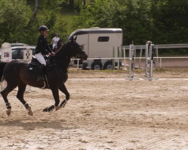Reitturnier Heiligenwald 2025