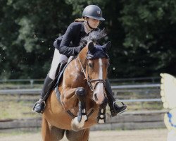 broodmare Own Lady 3 (German Sport Horse, 2011, from Lipsius)