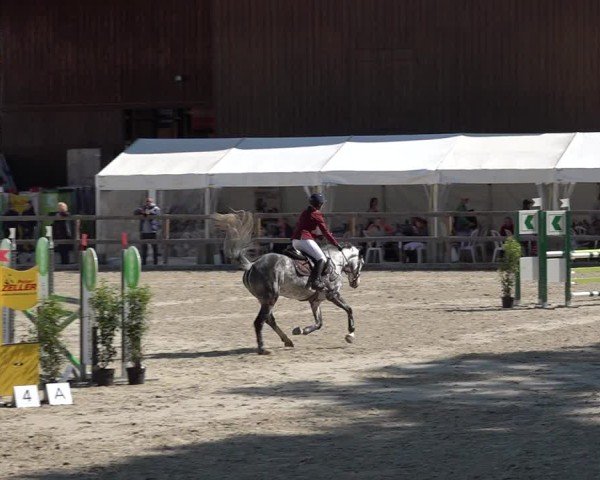 Reitturnier Sulgen 2025