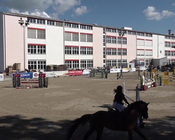 Reitturnier Sulgen 2025