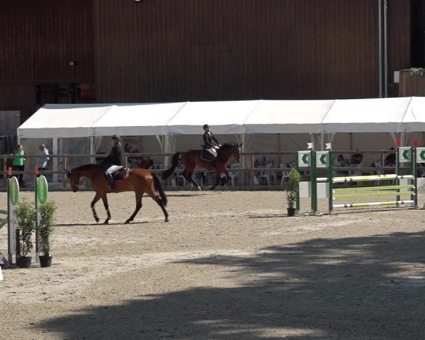 Reitturnier Sulgen 2025