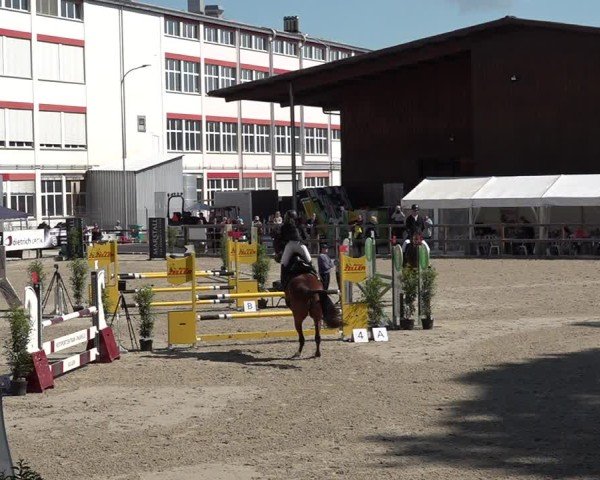 Reitturnier Sulgen 2025