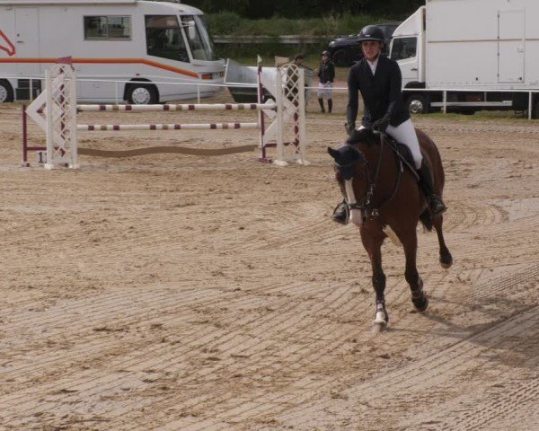 Reitturnier Heiligenwald 2025