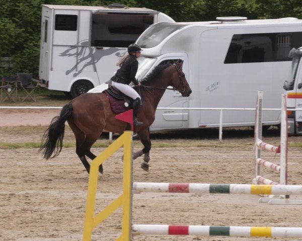 Reitturnier Heiligenwald 2025
