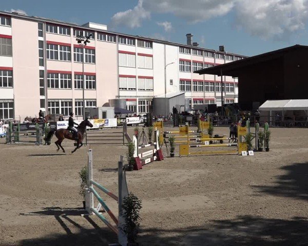 Reitturnier Sulgen 2025