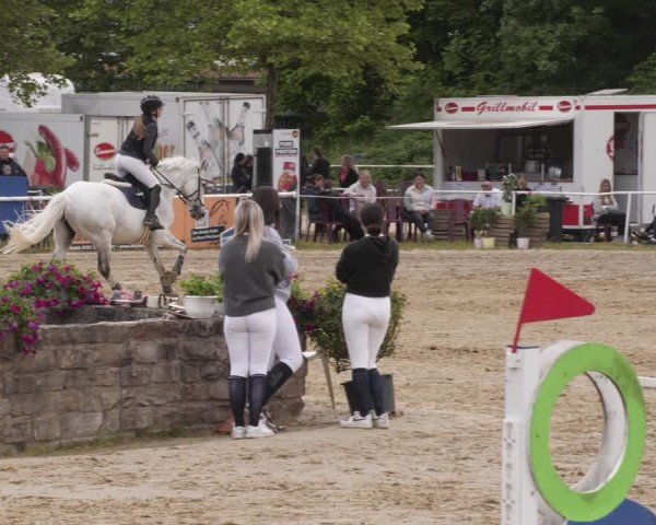 Reitturnier Heiligenwald 2025