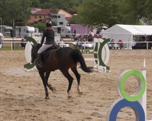Reitturnier Heiligenwald 2025