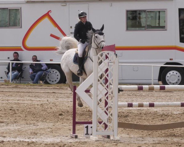 Reitturnier Heiligenwald 2025