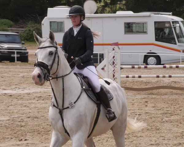 Reitturnier Heiligenwald 2025