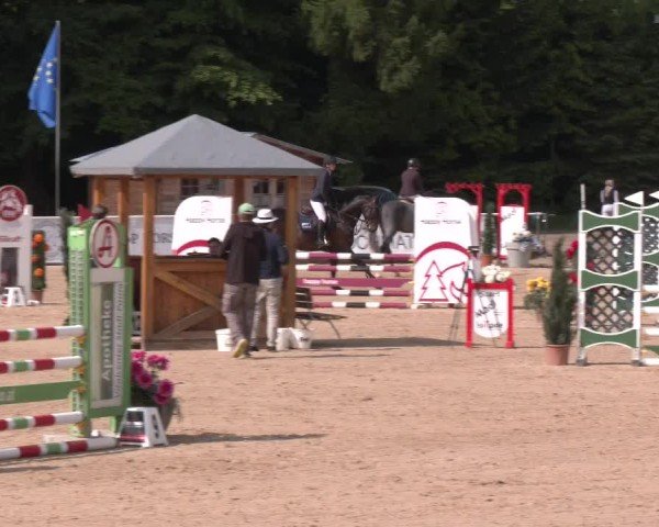 Reitturnier Ranshofen - Braunau am Inn 2025