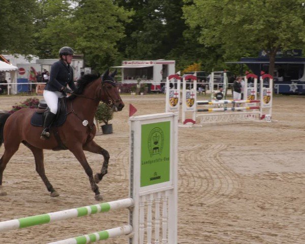 Reitturnier Heiligenwald 2025