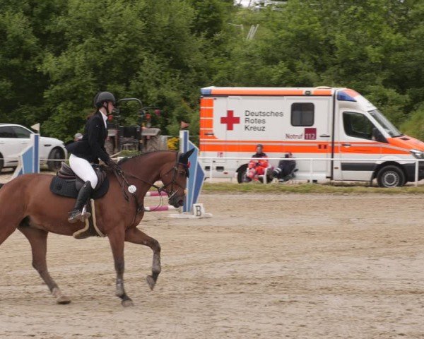 Reitturnier Heiligenwald 2025