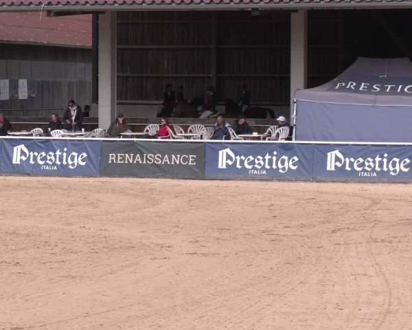 Reitturnier Ranshofen - Braunau am Inn 2025