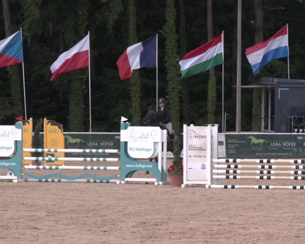 Reitturnier Ranshofen - Braunau am Inn 2025