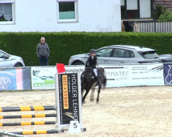 Reitturnier Mallersdorf-Pfaffenberg/Ndb. 2025