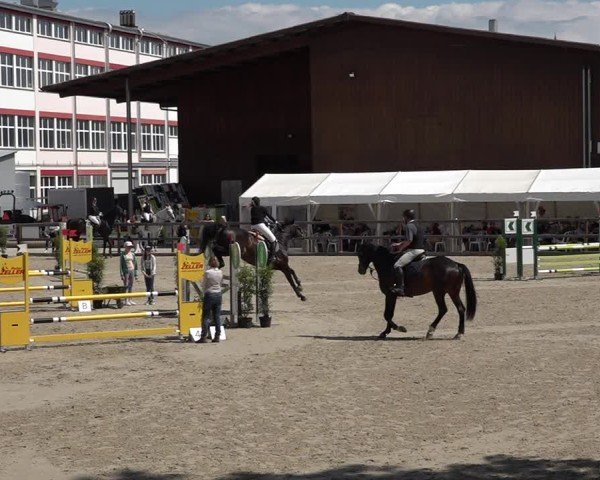 Reitturnier Sulgen 2025