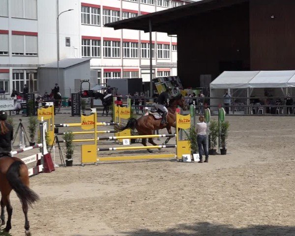 Reitturnier Sulgen 2025