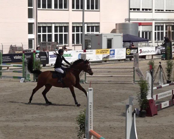 Reitturnier Sulgen 2025