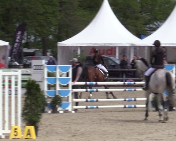 Reitturnier Bremen - Reitanlage Forkert 2025
