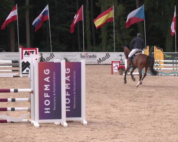 Reitturnier Ranshofen - Braunau am Inn 2025