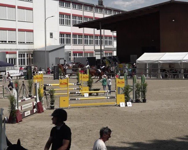 Reitturnier Sulgen 2025