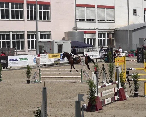Reitturnier Sulgen 2025