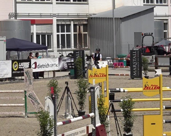Reitturnier Sulgen 2025