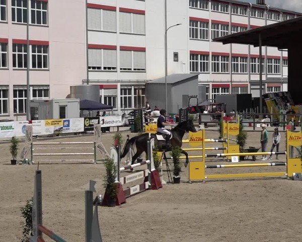 Reitturnier Sulgen 2025