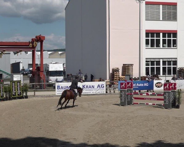Reitturnier Sulgen 2025