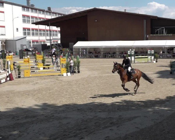 Reitturnier Sulgen 2025