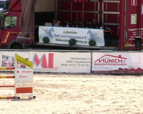 Reitturnier Mallersdorf-Pfaffenberg/Ndb. 2025