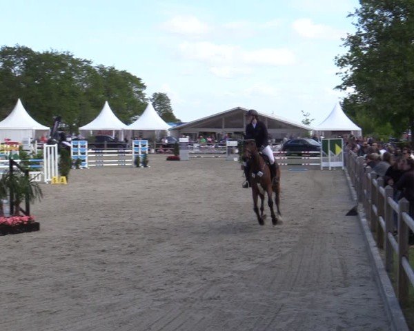 Reitturnier Bremen - Reitanlage Forkert 2025