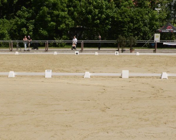 Reitturnier Winnenden 2025