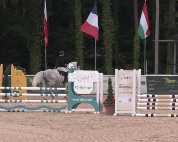 Reitturnier Ranshofen - Braunau am Inn 2025