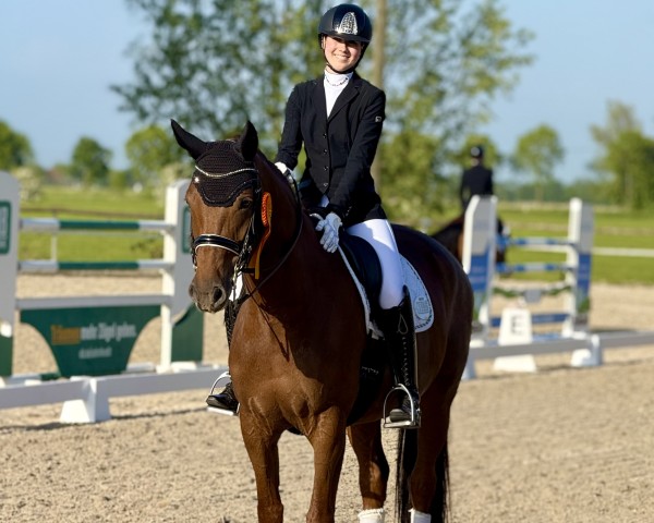 dressage horse Frieda Gold 21 (Oldenburg, 2013, from For Romance I) dressage horse Frieda Gold 21 (Oldenburg, 2013, from For Romance I)