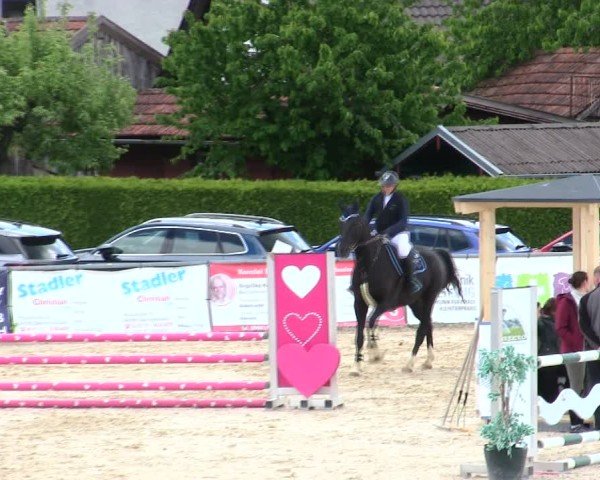 Reitturnier Mallersdorf-Pfaffenberg/Ndb. 2025