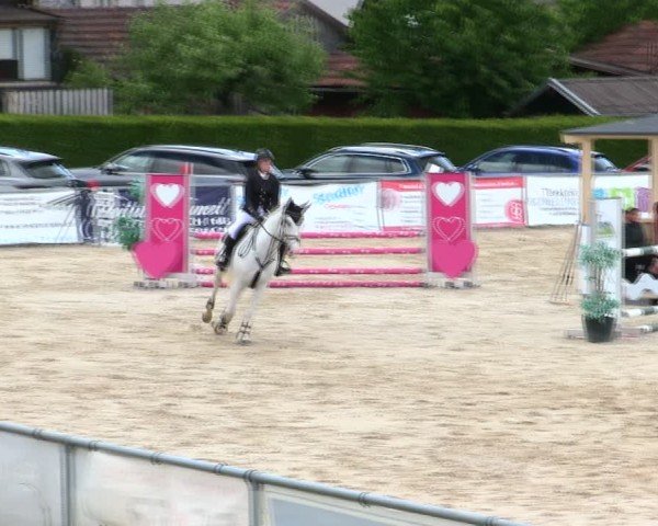 Reitturnier Mallersdorf-Pfaffenberg/Ndb. 2025