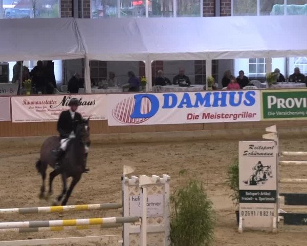 Rosendorf-Classics Seppenrade 2014